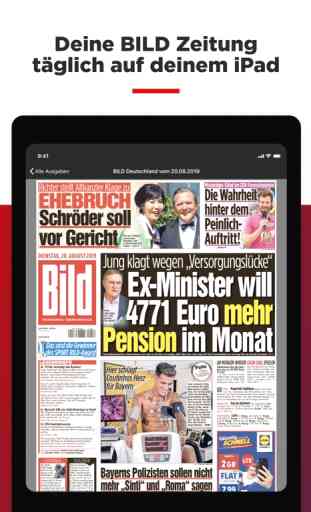 BILD Zeitung 2