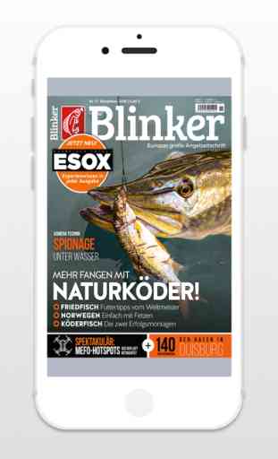 Blinker - Zeitschrift 1