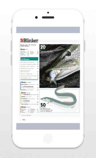 Blinker - Zeitschrift 4
