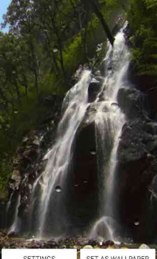 Wasserfall Live-Hintergrund 2