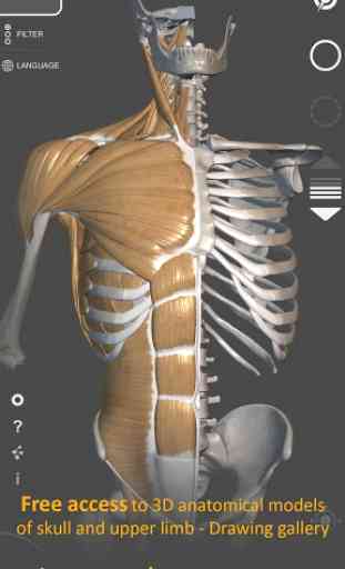 3D-Anatomie für den Künstler 2