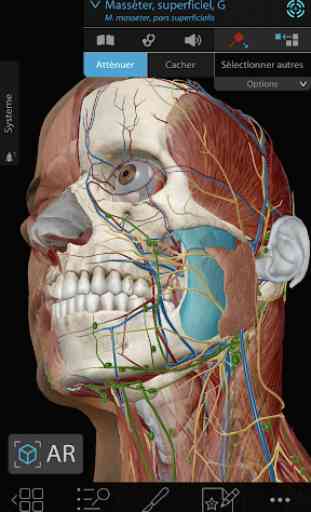 3D-Anatomieatlas des menschlichen Körpers 2020 1
