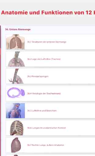 Anatomie & Physiologie 1