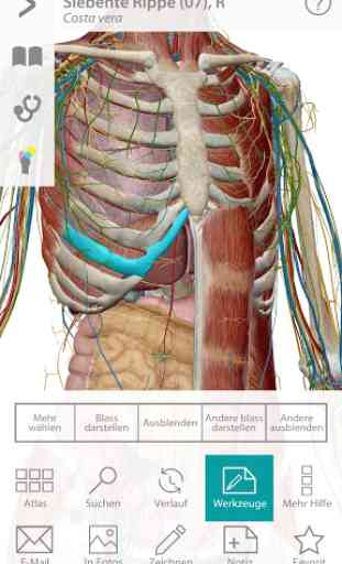 Atlas der Anatomie 1