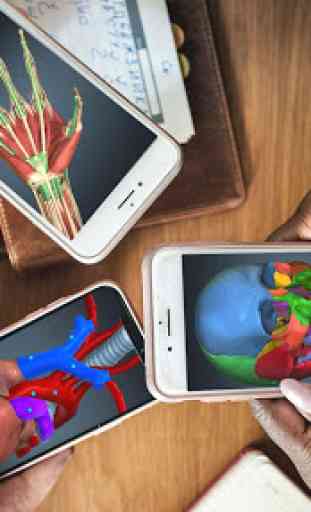 Anatomy Learning - 3D Online Anatomy Atlas 1