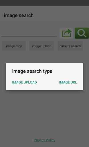image search for google 2