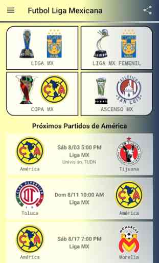 Soccer Mexican League 3