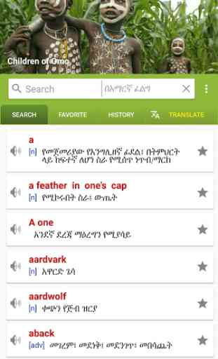 Amharic Dictionary - Translate Ethiopia 4