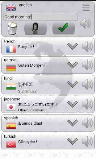 Multi-Sprachen-Übersetzer 2