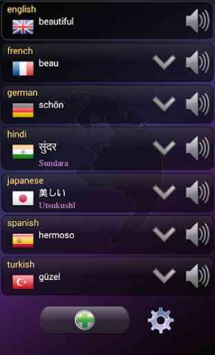Multi-Sprachen-Übersetzer 3