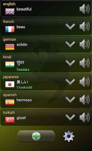 Multi-Sprachen-Übersetzer 4