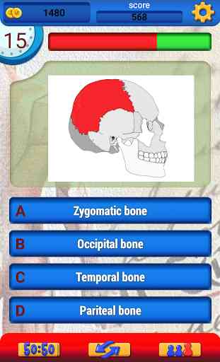 Anatomie Spaß Frei Quiz 2