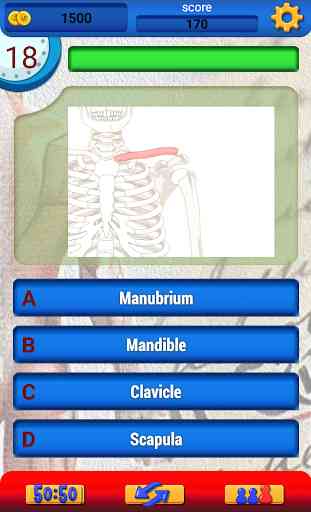 Anatomie Spaß Frei Quiz 3