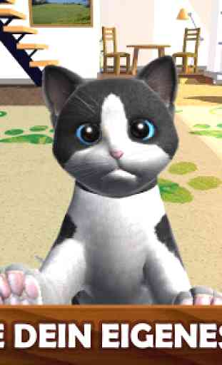 Daily Kitten virtuelle Katze 2