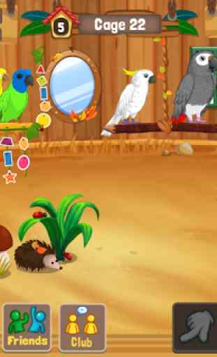 Bird Land: Zooladen Spiel, spiele mit einem Vogel 3