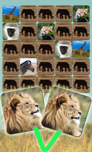 Wilde Tier Spiele kostenlos: Zoo Puzzle deutsch 1