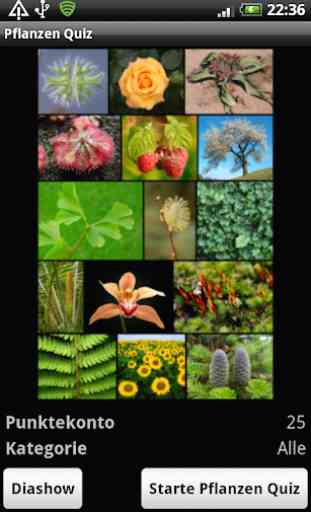 Pflanzen Quiz - für Botaniker 1