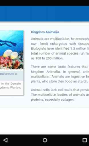 Kingdom Animalia 4