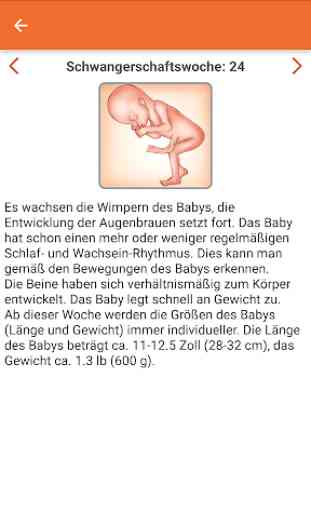 WomanLog Pregnancy Kalender 3