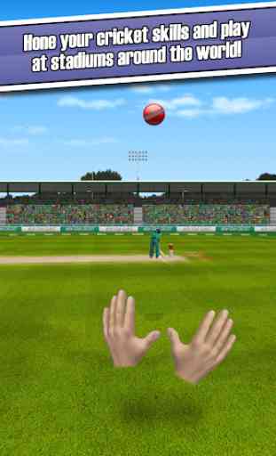 New Star Cricket 4