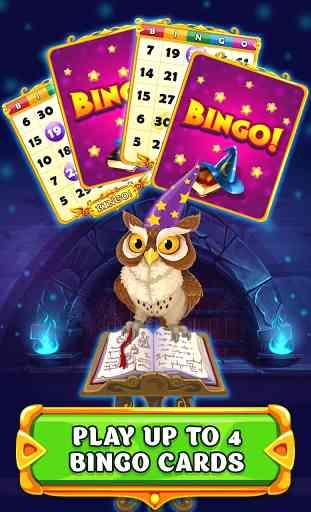 Wizard of Bingo 3