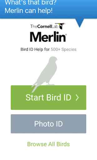 Merlin Bird ID by Cornell Lab of Ornithology 1