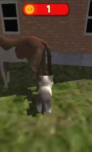 Simulator Katze Kitty  2