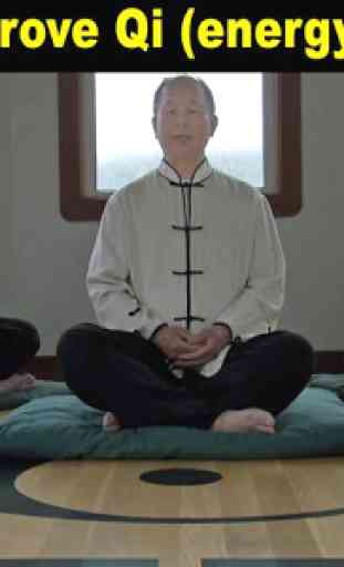 Qigong Meditation (YMAA) Dr.Yang, Jwing-Ming 3