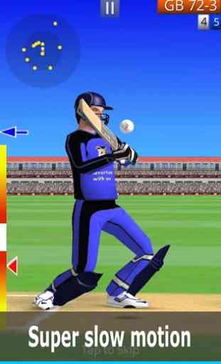 Smashing Cricket - a cricket game like none other 1