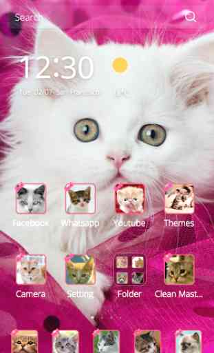 Pink Persian white Cat theme 1