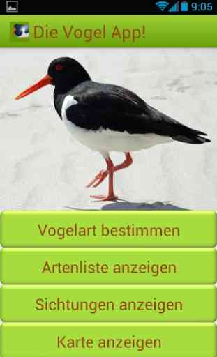 Die Vogel App! 1