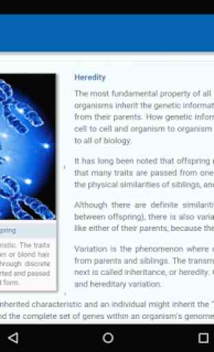 Heredity 4