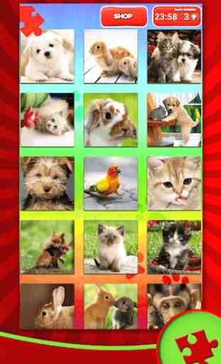 Süße Haustiere Puzzlespiel 3