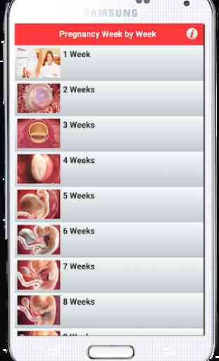 Pregnancy Week by Week 2