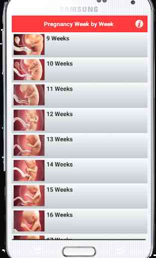 Pregnancy Week by Week 3