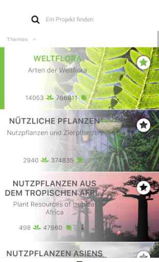 Pl@ntNet Pflanzenbestimmung 3