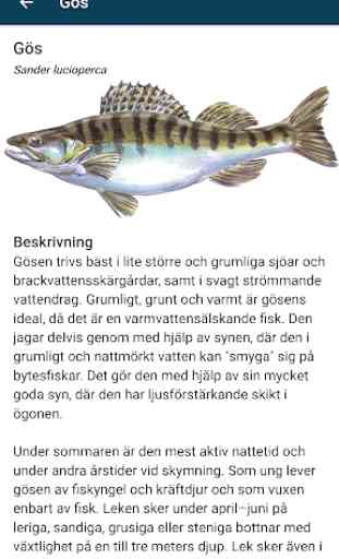 iFiske - Enklare Fiskekort 4