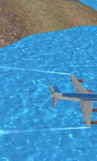 Flight Simulator Airplane 3