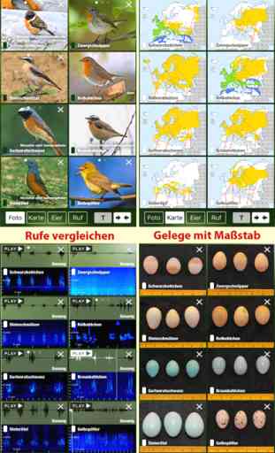 Alle Vögel Österreich - Bestimmen, Identifizieren 4
