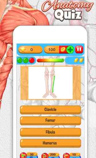 Anatomie Quiz Frei Wissenschaft Ausbildung Spiel 4