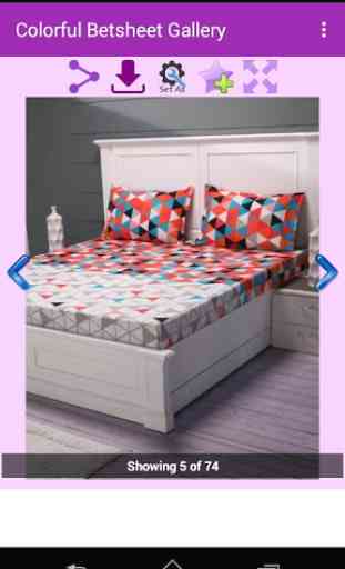 Colorful Bedsheet Gallery 4