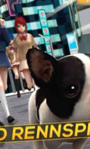 Süße Hunde Go Gegen Anime Mädchen 1