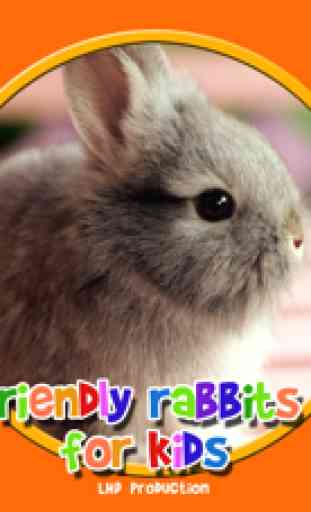 freundliche Kaninchen für alle Kinder - freies Spiel 4