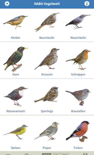 NABU Vogelwelt 2