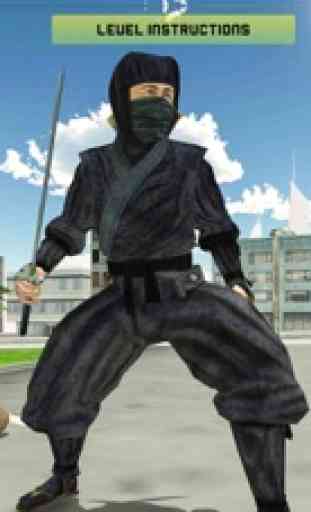 Ninja Krieger 1
