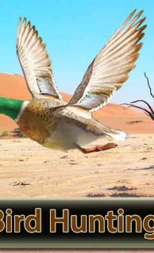 Desert Birds Sniper Shooter - Vogeljagd 2019 1