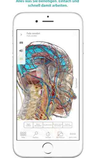 Atlas der menschlichen Anatomie 1