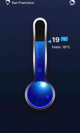 Echtes Thermometer 1