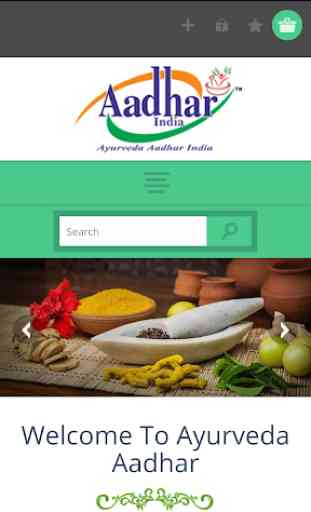 Ayurveda Aadhar India 1