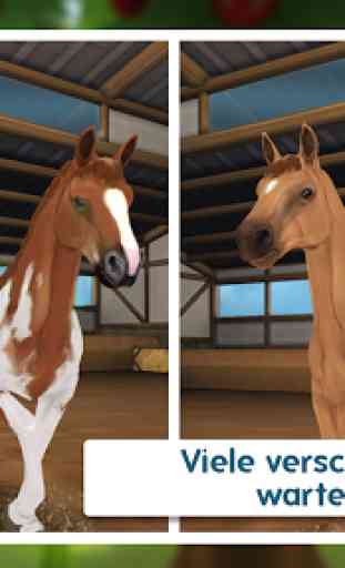 Horse Hotel - das Pferdespiel für Pferdefreunde 1